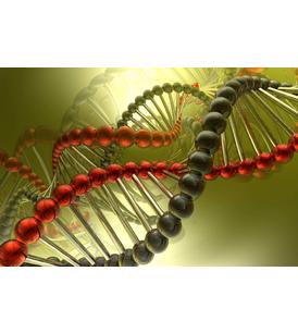 Для химии и нефтехимии