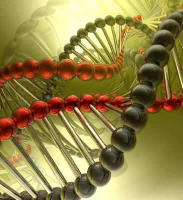 Копия Для химии и нефтехимии