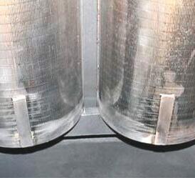 Копия Скэллопы