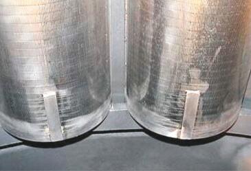 Копия Скэллопы