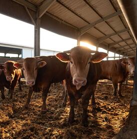 Для животноводства и сельского хозяйства