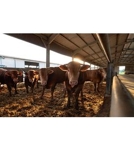 Для животноводства и сельского хозяйства