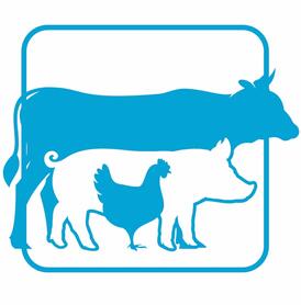 Мясоперерабатывающая промышленность